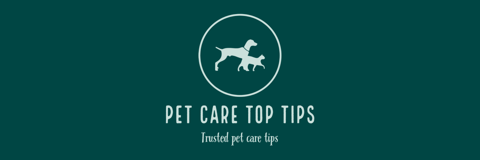 Pet Care Top Tips